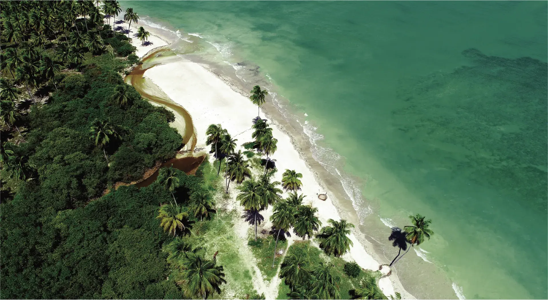 Praia de areias claras entre mata intocada e mar azul-turquesa